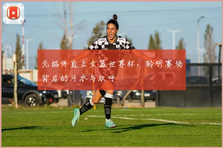 无插件直击女篮世界杯,聆听赛场背后的汗水与欢呼