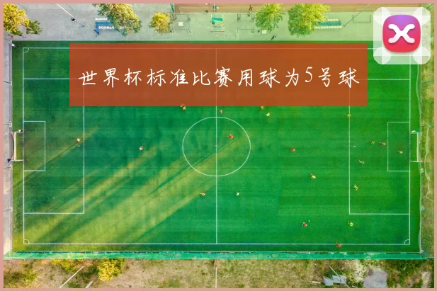 世界杯标准比赛用球为5号球