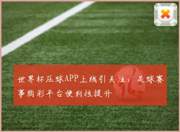 世界杯压球APP上线引关注，足球赛事购彩平台便利性提升