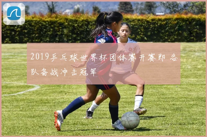 2019乒乓球世界杯团体赛开赛即 各队备战冲击冠军