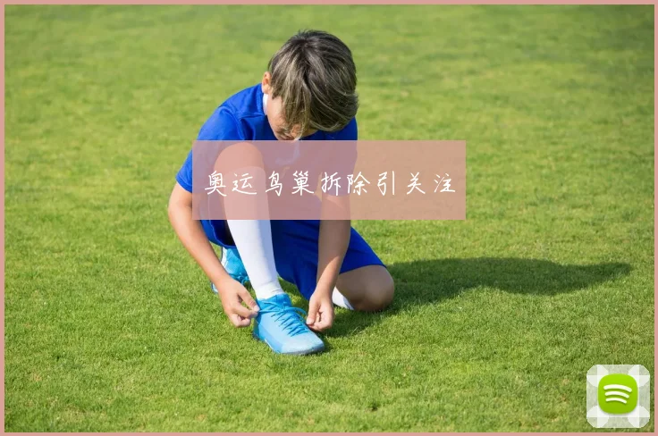 奥运鸟巢拆除引关注