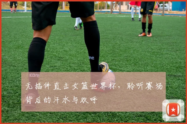 无插件直击女篮世界杯,聆听赛场背后的汗水与欢呼