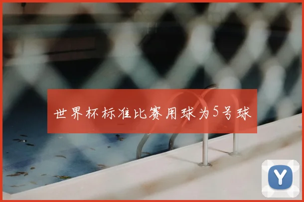 世界杯标准比赛用球为5号球