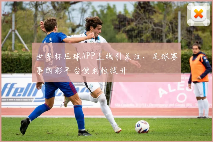 世界杯压球APP上线引关注，足球赛事购彩平台便利性提升
