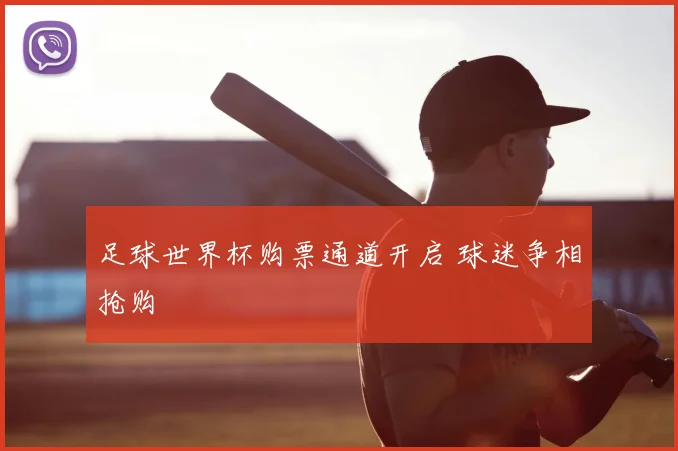 足球世界杯购票通道开启 球迷争相抢购