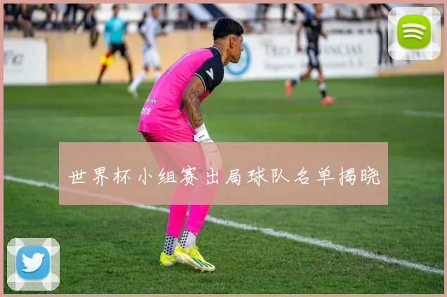 世界杯小组赛出局球队名单揭晓