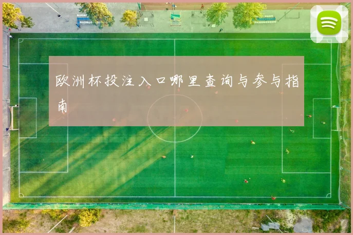 欧洲杯投注入口哪里查询与参与指南