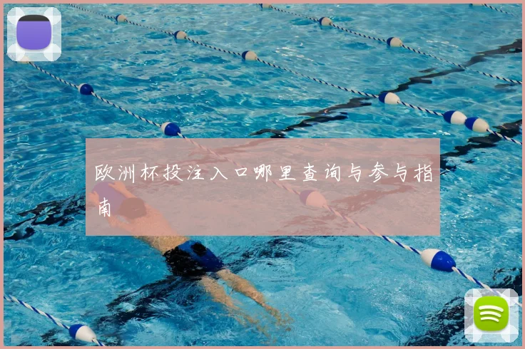 欧洲杯投注入口哪里查询与参与指南